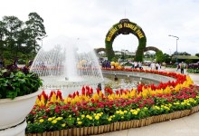 SAIGON - DALAT - MUINE - SAIGON TOUR 7 DAYS 6 NIGHTS (Private tour)